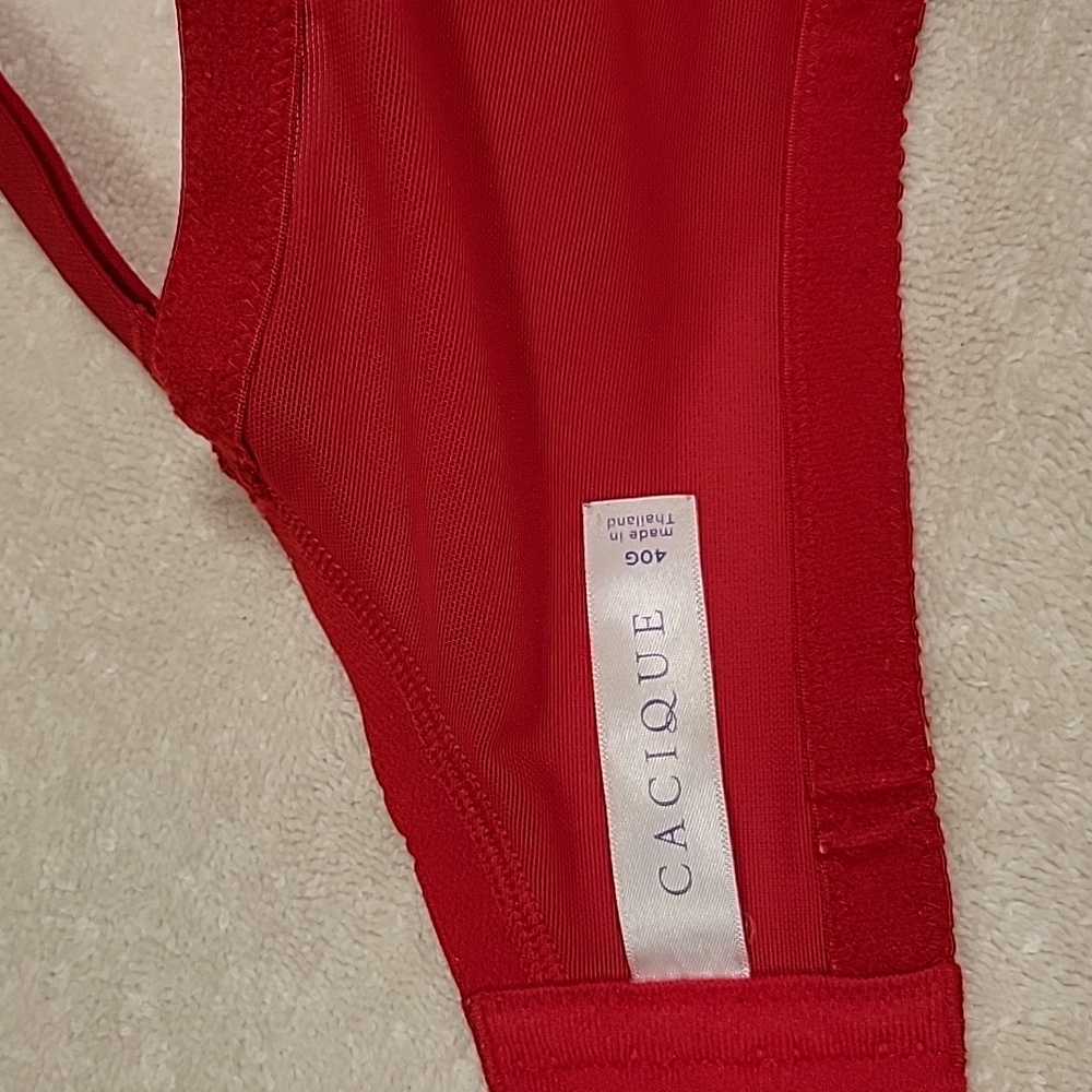 Elegant Red Lace Bra - Picture 11 of 12